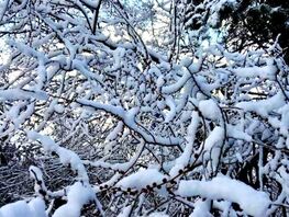 Что ждет бишкекчан на&nbsp;выходных. Прогноз погоды на&nbsp;11-14 декабря 