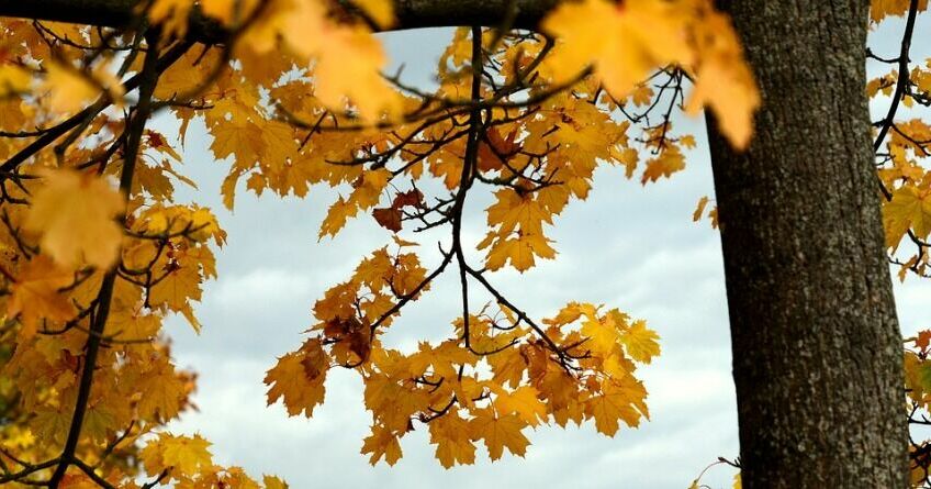 В&nbsp;Бишкеке немного потеплеет. Прогноз погоды на&nbsp;13-16 ноября 