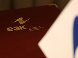 Кыргызстанская компания получит субсидии из&nbsp;бюджета ЕАЭС на&nbsp;реализацию проекта 