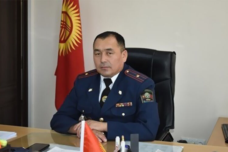 из интернета