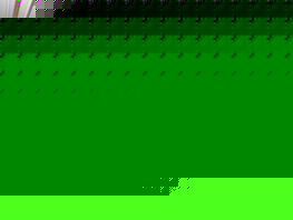 Президентом Международной ассоциации кок бору избран Талантбек Кенжеев 